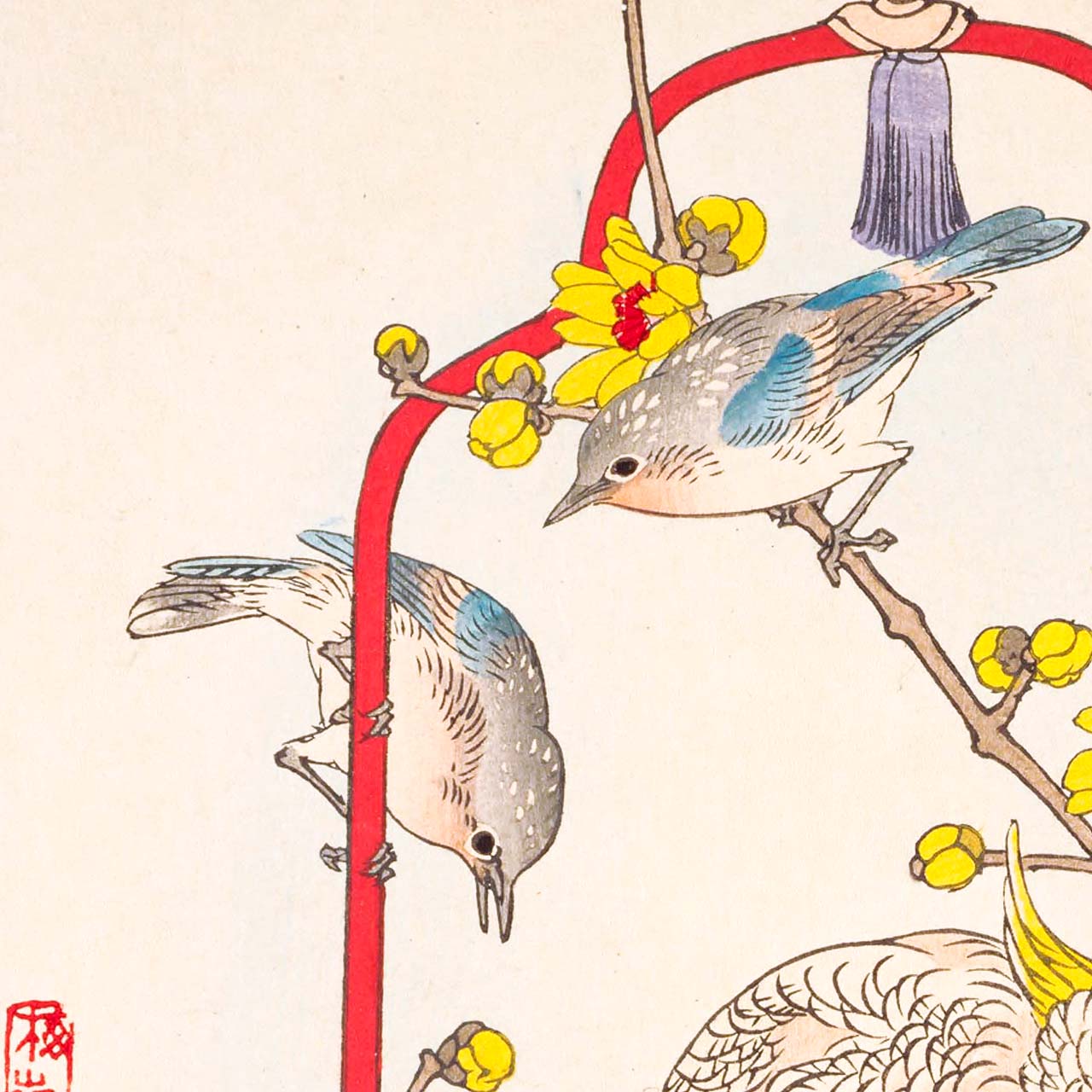 Wintersweet and Parrot - Japonica Graphic