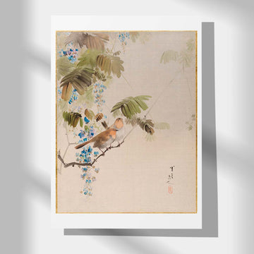 Wisteria and small birds - Japonica Graphic
