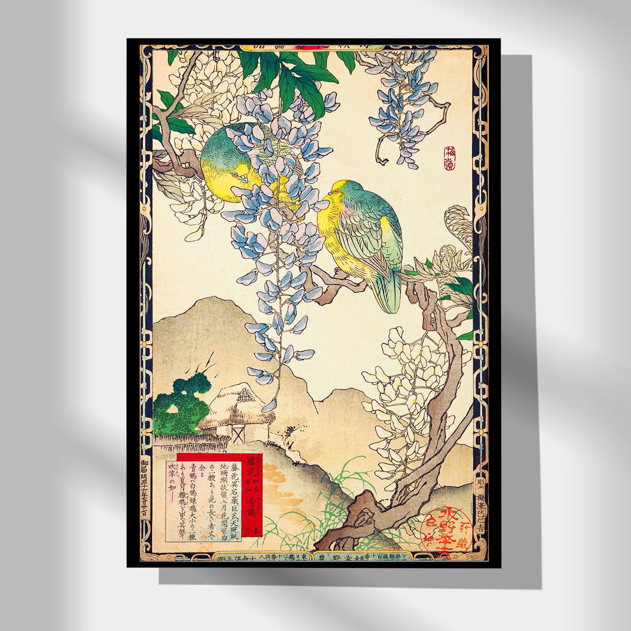 Wisteria flower and pigeon - Japonica Graphic