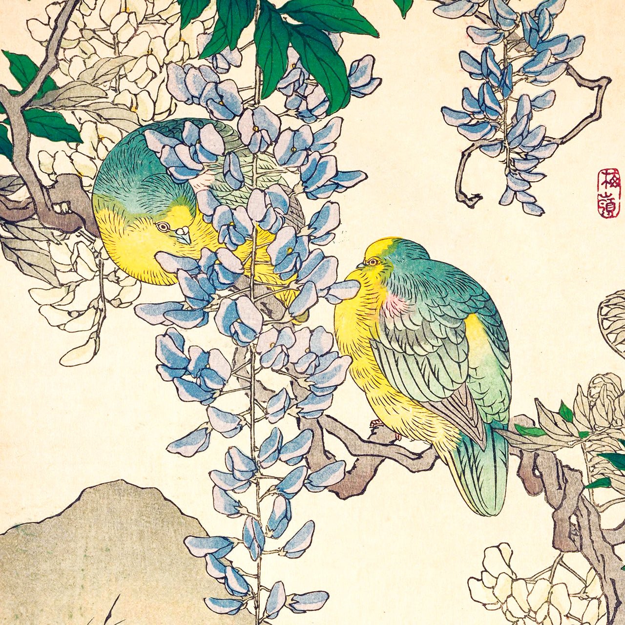 Wisteria flower and pigeon - Japonica Graphic