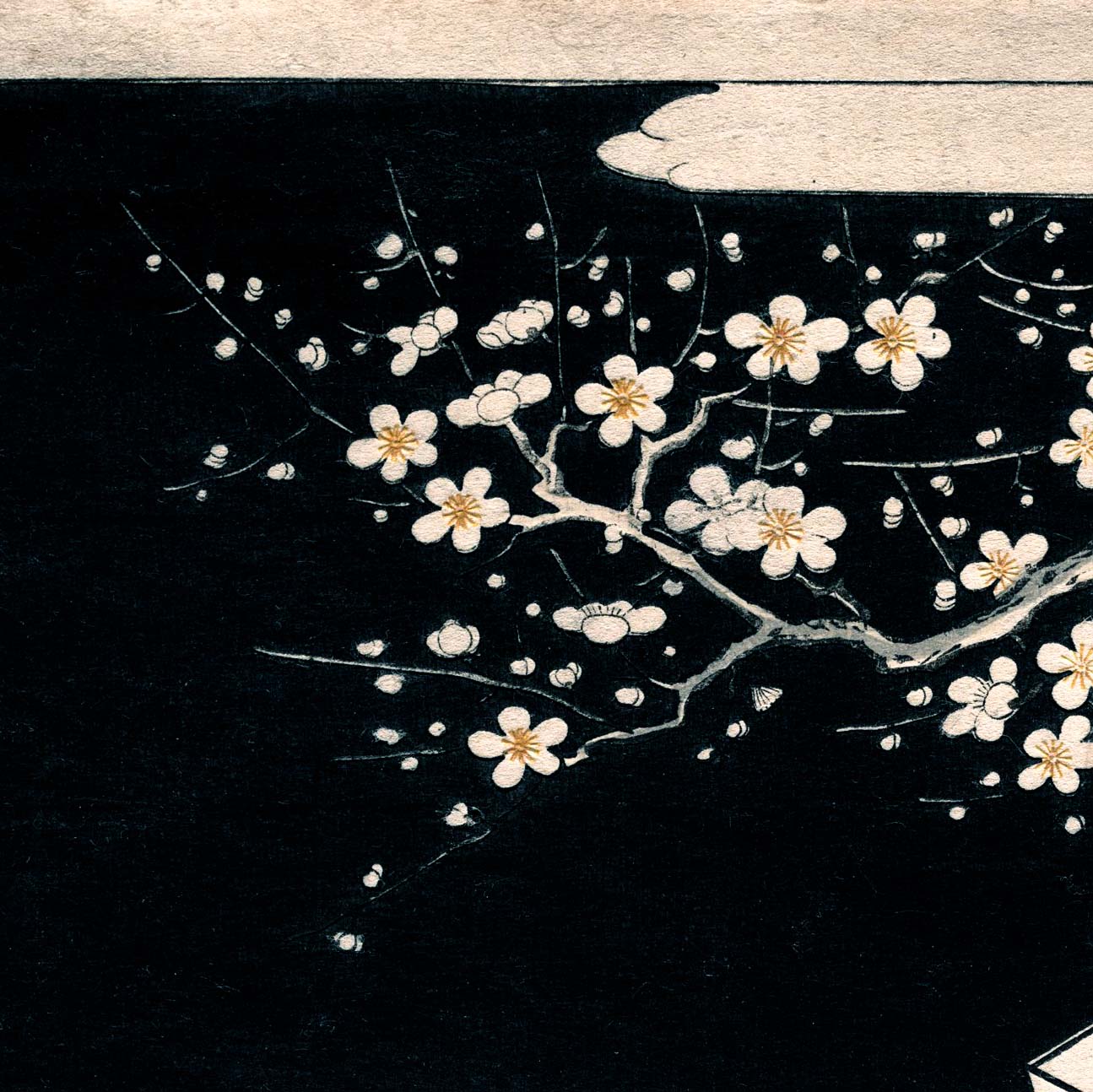 Woman Admiring Plum Blossoms at Night - Japonica Graphic