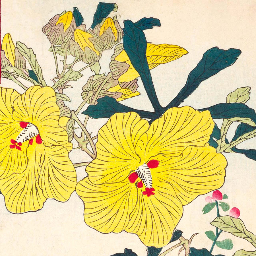 yellow hollyhock and brocaded chicken - Japonica Graphic